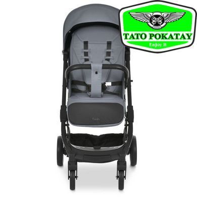 Коляска дитяча M 5727-1 FLASH Night Owl