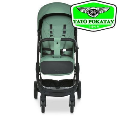Коляска дитяча M 5727-1 FLASH Sea Spray