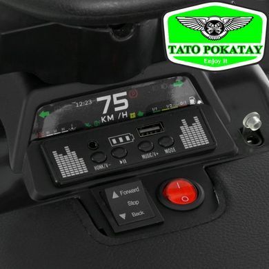Квадроцикл M 6300EBLR-11-6