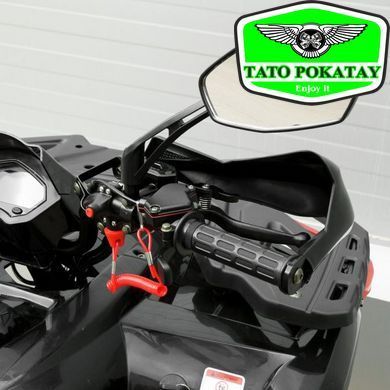 Квадроцикл AX125-2-3