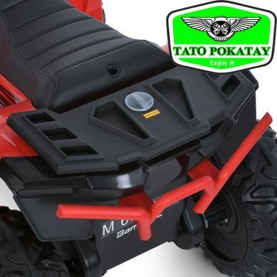 Квадроцикл M 6060EL-3(24V)