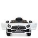 Mercedes AMG GT R