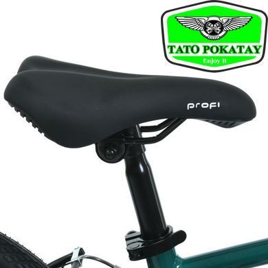 Велосипед дитячий 20д. PROF1 MB 20LIGHTY RAIN FOREST