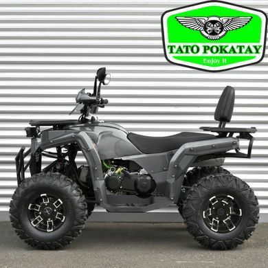 Квадроцикл AFB200L-19