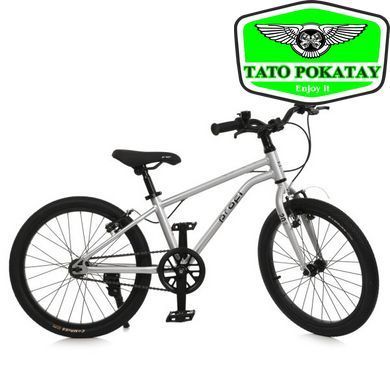 Велосипед дитячий 20д. PROF1 MB 20LIGHTY SILVER