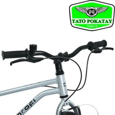 Велосипед дитячий 20д. PROF1 MB 20LIGHTY SILVER
