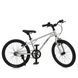Велосипед дитячий 20д. PROF1 MB 20LIGHTY SILVER