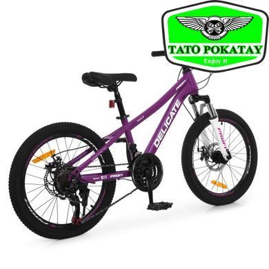 Велосипед PROFI DELICATE 20 д. DL-2002