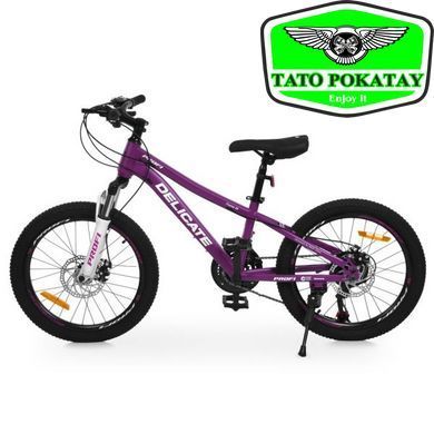 Велосипед PROFI DELICATE 20 д. DL-2002