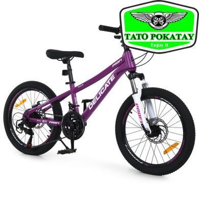 Велосипед PROFI DELICATE 20 д. DL-2002