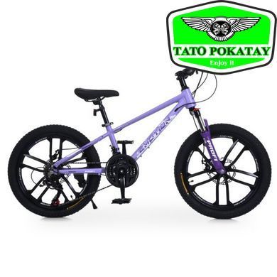 Велосипед PROFI EMOTION 20 д. ET-2002