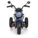 Ducati Monster