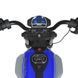 Ducati Monster