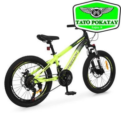 Велосипед PROFI FREEDOM 20 д. FD-2001
