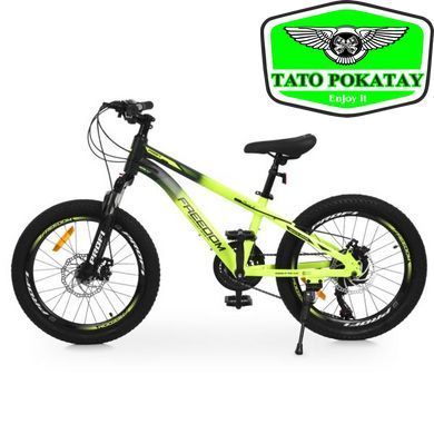 Велосипед PROFI FREEDOM 20 д. FD-2001