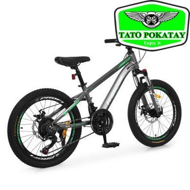 Велосипед PROFI FREEDOM 20 д. FD-2002